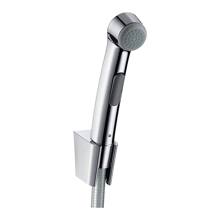 Hansgrohe Гигиенический душ 1jet, с держателем и шлангом 160 см, устойчивым к давлению полированное золото